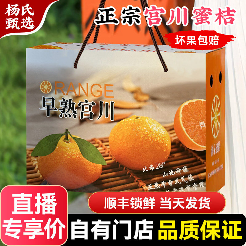云南蜜橘新鲜桔子绿皮