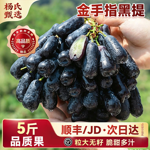 云南金手指葡萄新鲜水果当季蓝宝石美人指无籽提子孕妇黑加仑整箱