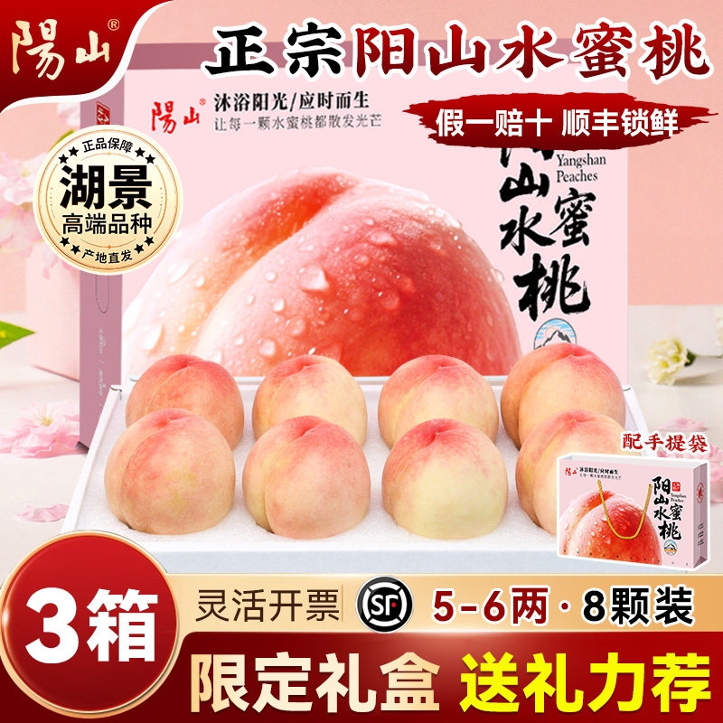 【3箱限定礼盒5-6两8枚】