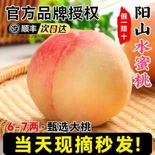 整箱湖景 7两甄选大桃 正宗无锡阳山水蜜桃子新鲜水果应当季