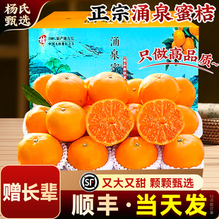 【赠长辈】正宗临海涌泉蜜桔应当季时令新鲜水果薄皮一整箱旗舰店