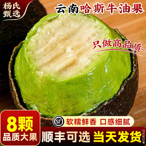【8个装】正宗云南哈斯牛油果即食一级鳄梨当季新鲜水果孟连国产
