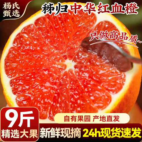 【秭归红橙】正宗九月血橙子果冻新鲜水果应季大果产地直发冰糖甜