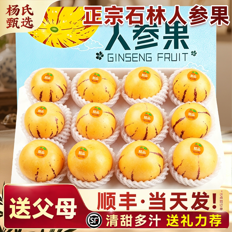 云南石林人参果树上熟