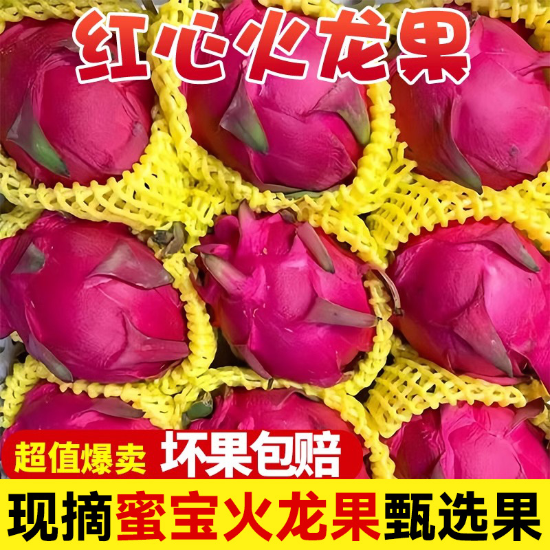 【门店直播专享】密宝火龙果红心新鲜水果应当季整箱金都一号大果