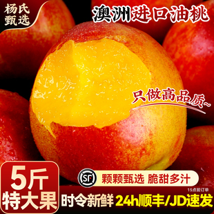 【时令新鲜】正宗澳洲进口油桃5斤当季高端水果黄白肉脆桃子顺丰