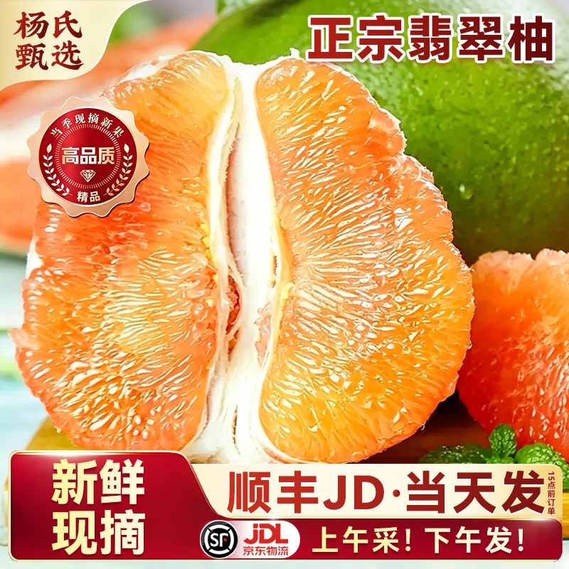 【新鲜现摘】正宗翡翠柚当季水果青皮大果蜜柚子红心红肉顺丰整箱