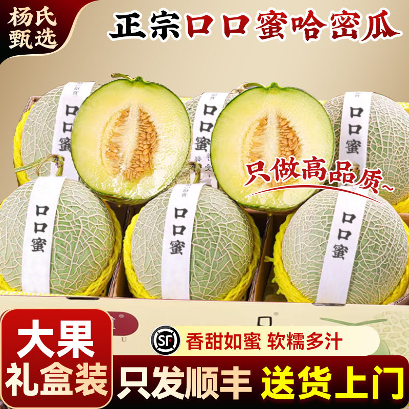 正宗哈密瓜口口蜜糯甜新鲜当季
