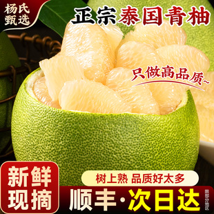【新鲜现摘】正宗泰国青柚水果进口当季蜜柚皮白心甜翡翠整箱顺丰