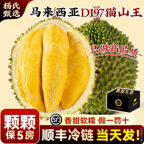 AAA级！马来西亚猫山王【保5房】