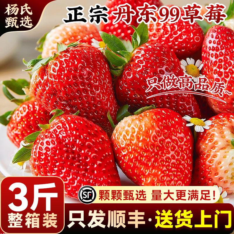 【整箱装】丹东99大草莓新鲜水果九九红颜奶油礼盒牛奶辽宁旗舰店