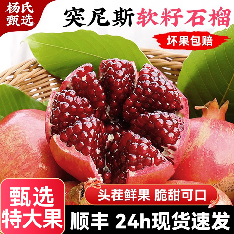 【现摘现发】现货突尼斯软籽石榴水果新鲜当季整箱会理无籽红宝石
