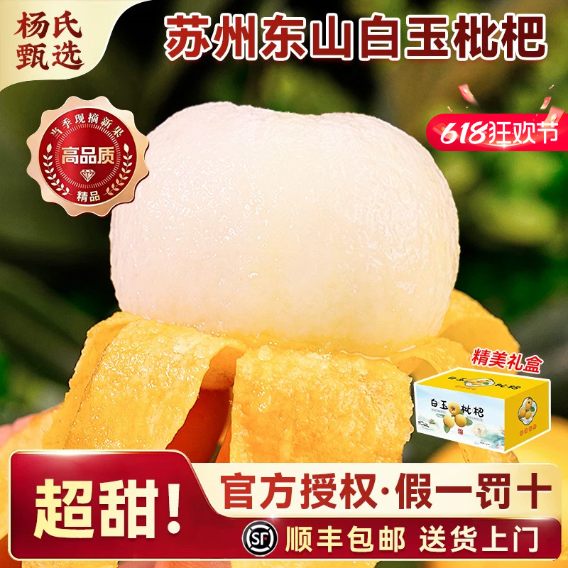 【炮头大果】苏州东山白玉枇杷