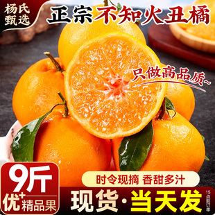 【时令现摘】正宗四川不知火丑橘新鲜水果9斤耙耙粑粑丑柑桔子10
