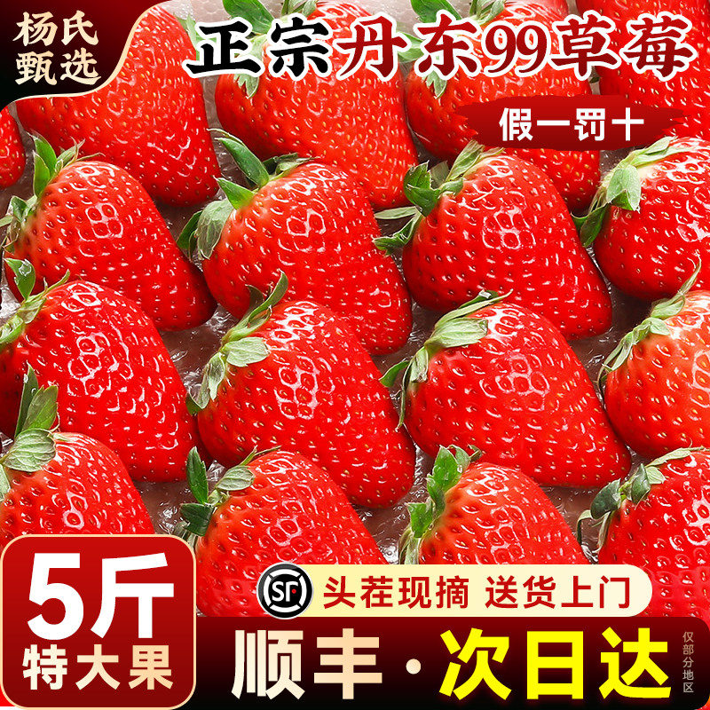 已售10000+！正宗丹东99草莓顺丰