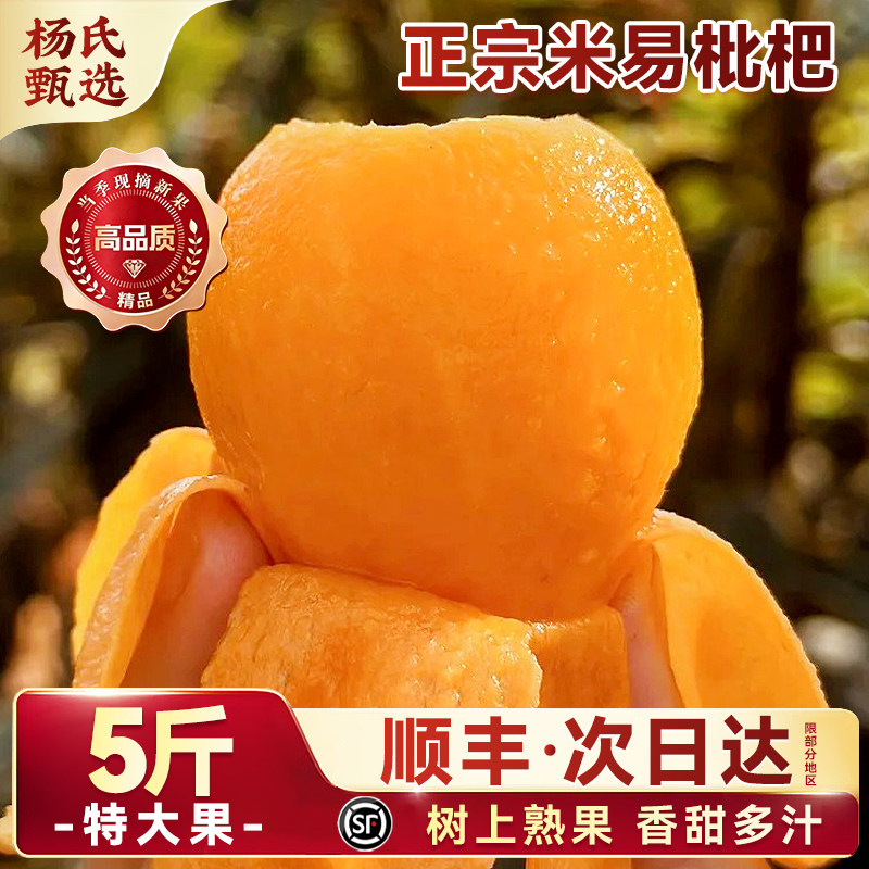 顺丰礼盒四川米易枇杷5斤特级攀枝花现摘大琵琶当季新鲜水果包邮