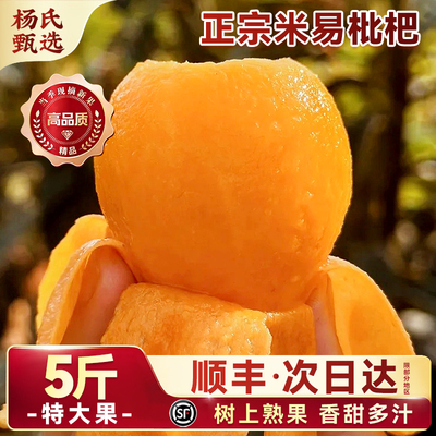 顺丰礼盒四川米易枇杷5斤特级攀枝花现摘大琵琶当季新鲜水果包邮
