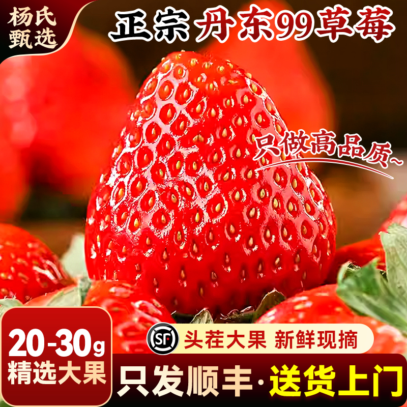 【20-30g】丹东99大草莓新鲜水果九九红颜奶油礼盒牛奶辽宁旗舰店