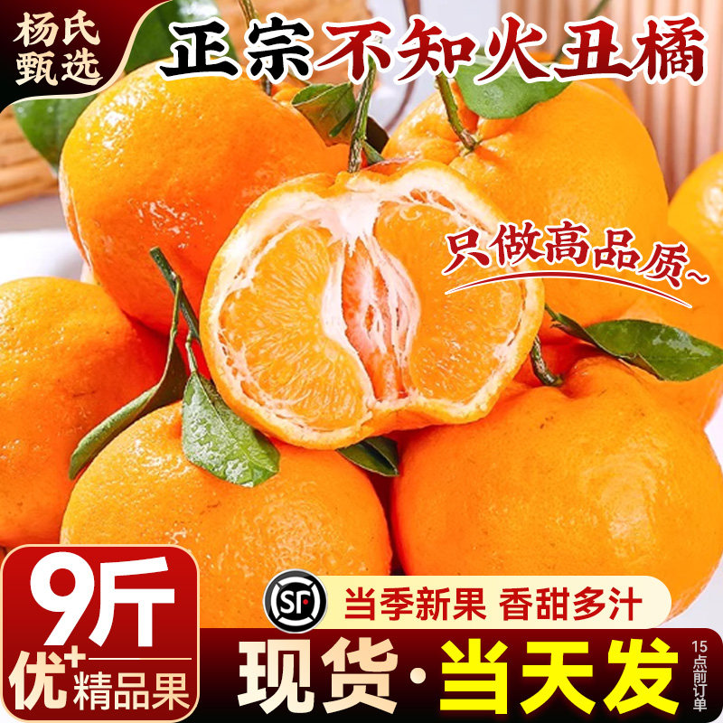 【当季新果】正宗四川不知火丑橘新鲜水果9斤耙耙粑丑柑桔子整箱