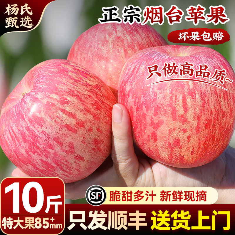 【10斤85mm起】顺丰山东烟台红富士苹果新鲜水果当季冰糖心正宗