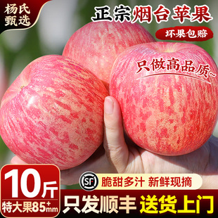 【10斤85mm起】顺丰山东烟台红富士苹果新鲜水果当季冰糖心正宗