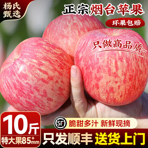 【10斤85mm起】顺丰山东烟台红富士苹果新鲜水果当季冰糖心正宗