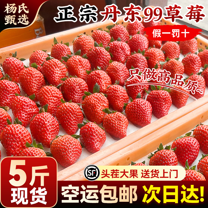 【现货空运】丹东99大草莓新鲜水果九九红颜奶油礼盒牛奶旗舰店
