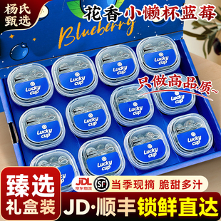 【臻选礼盒装】云南高山花香蓝莓l25新鲜水果特大当季整箱小懒杯