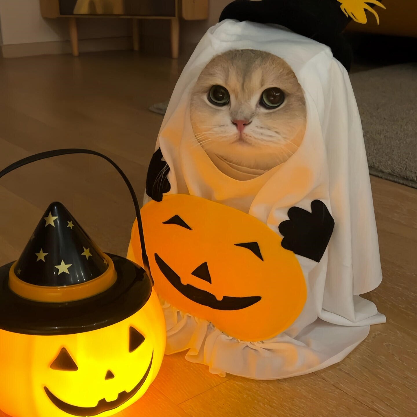 小猫搞怪衣服套装创意南瓜幽灵宠物个性变身装跨境万圣节狗狗服装
