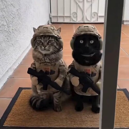 万圣节穿搭宠物士兵拍照衣服套装