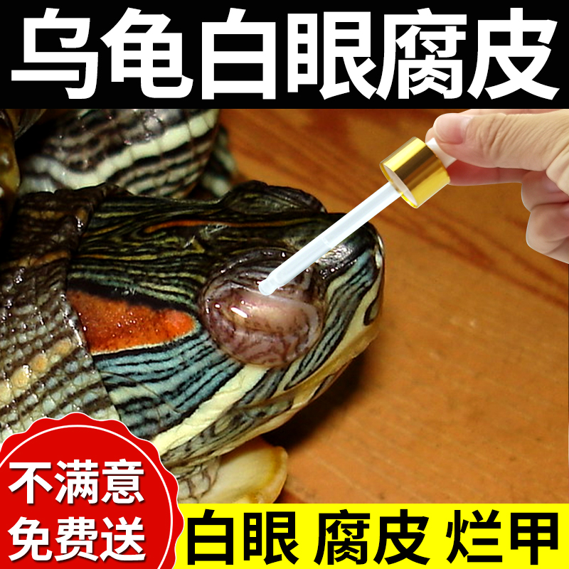 乌龟白眼病腐甲专用药万能护龟液