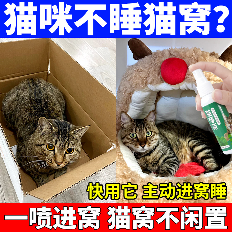 诱导猫咪睡猫窝猫薄荷喷雾快乐水