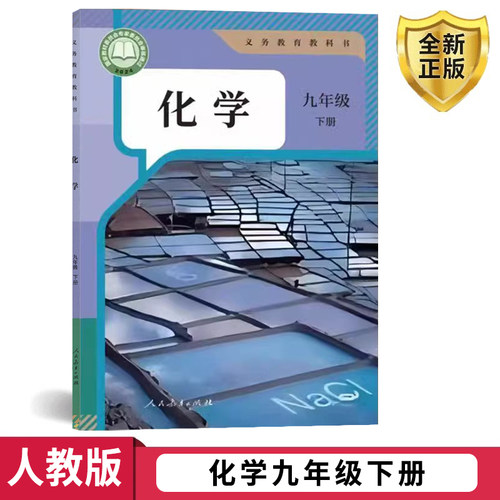 2023九年级化学下册课本书教材