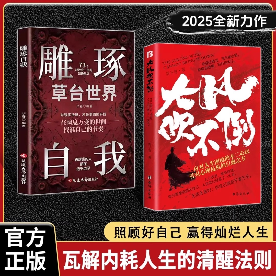 【正版速发】大风吹不倒正版书籍雕琢自我2025全新力作心理危机自愈奇书应对人生困境的不二心法在瞬息万变的世间找准自己的节奏