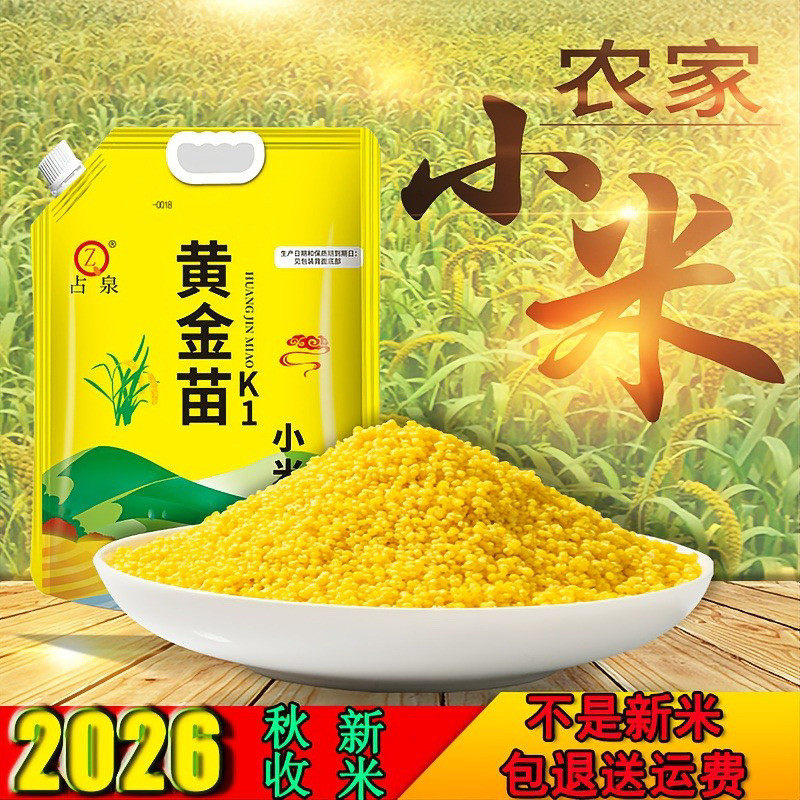 占泉2026年新米辽宁朝阳占泉金苗k1食用小米5斤
