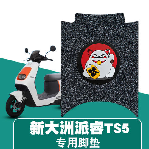 适用新大洲派睿TS5丝圈脚垫