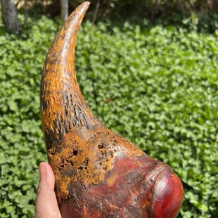 天然披毛犀亚洲牛角非洲老亚整角回流老料客厅办公室摆件收藏礼品