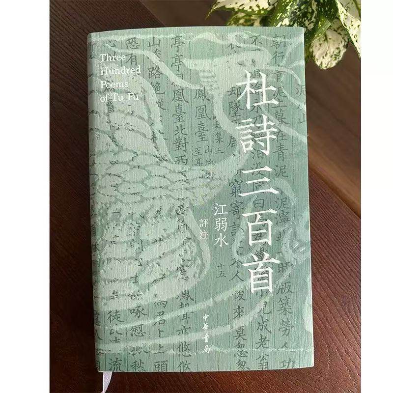 正版新书 杜诗三百首  江弱水 比较视野下的多维解读 写给当代人的杜诗注本  中华书局
