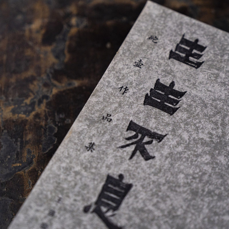 新书正版 生生不息·砣壶作品集 王强 西泠印社