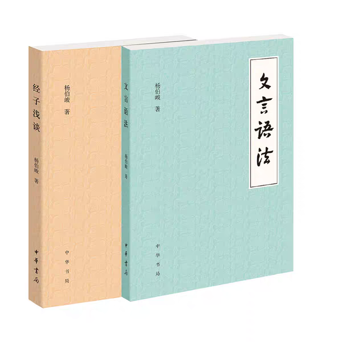 正版新书 【2册】文言语法+经子浅谈 杨伯峻小古文 文言文学习阅读指导书籍对文言文中常见的词法和句法叙述和分析中华书局