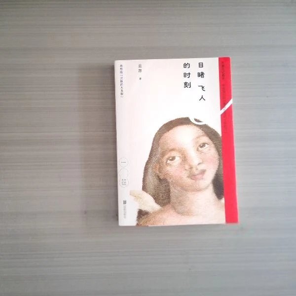正版目睹飞人的时刻巫昂  著北京联合出版公司9787559686688图片