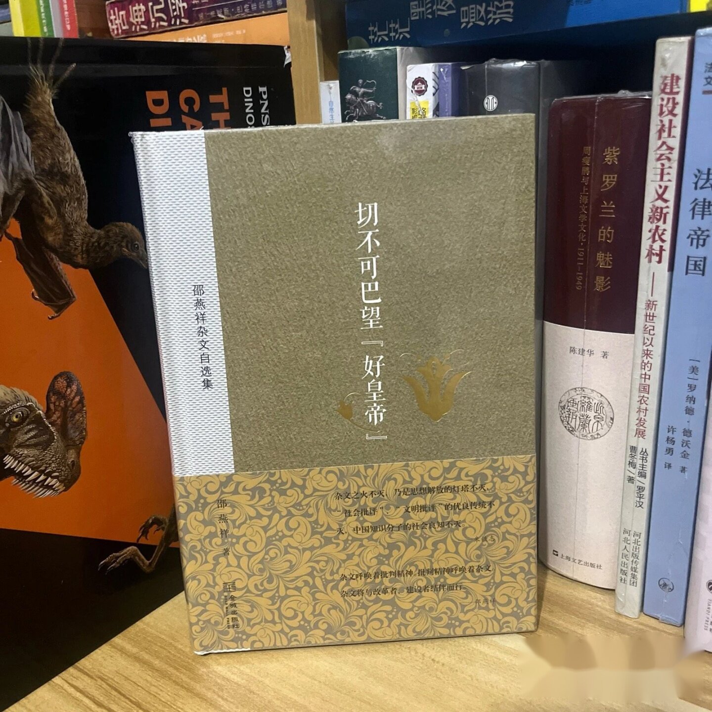 正版九成新 邵燕祥杂文自选集：切不可巴望“好皇帝”邵燕祥 著 / 金城出版社