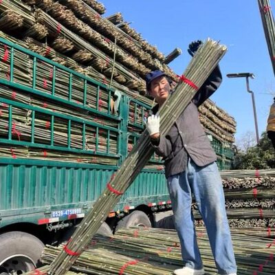 竹竿棍菜园爬藤架搭架子竹子杆蔬菜架竹黄瓜豆角庭院栅栏竹竿篱笆