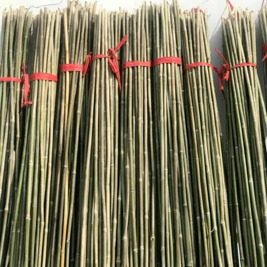 竹杆2米小竹竿蔬菜爬藤架