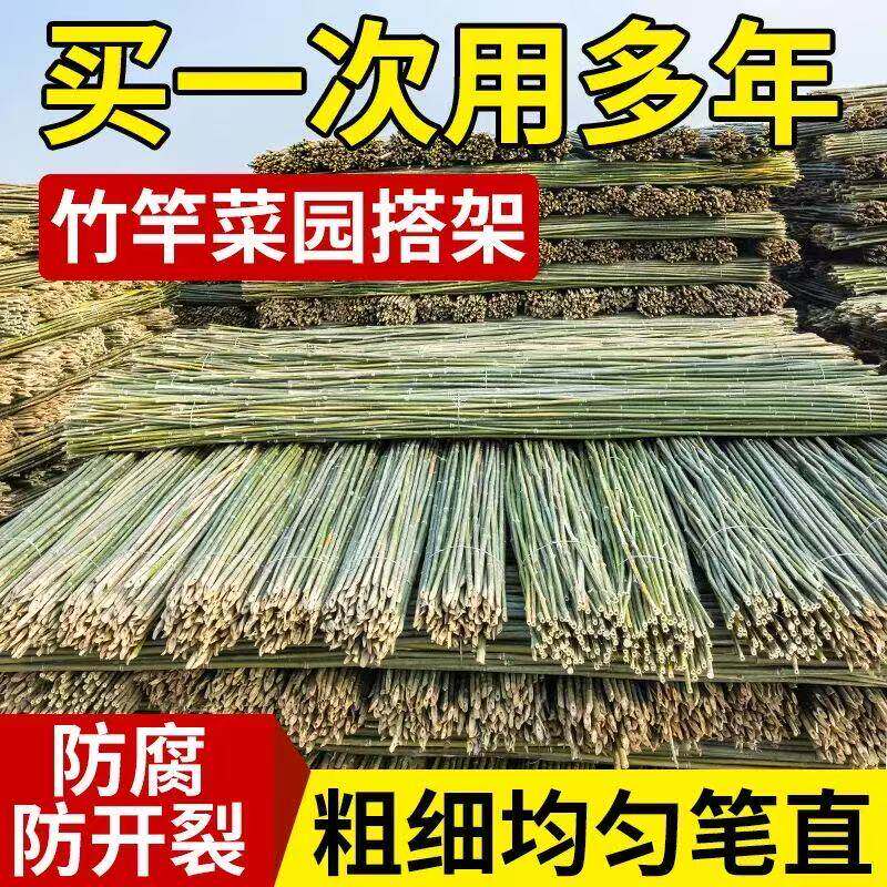 竹竿菜园搭架蔬菜黄瓜番茄豆角架杆竹篱笆栅栏小竹子细竹竿葡萄架