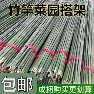 竹竿棍菜园爬藤架搭架子竹子杆蔬菜架竹黄瓜豆角庭院栅栏竹竿篱笆