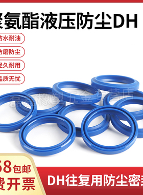 DH防尘油封/DHS165/170/175/180/190/200/204/210dh液压密封圈