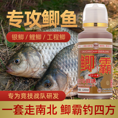 鲫鱼小药黑坑抢鱼专用套装