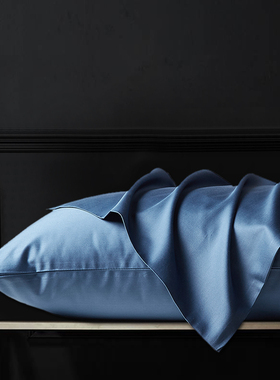 纯棉枕套100全棉一对48cmx74cm单人蓝色整头枕头套一只装家用单个