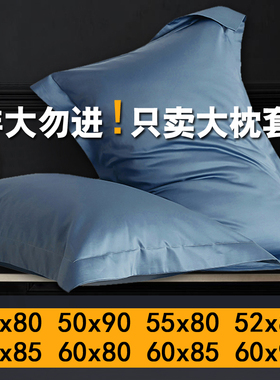 大号枕头套50x80全棉酒店专用60x85大尺寸枕套60cmx90cm55x85蓝色